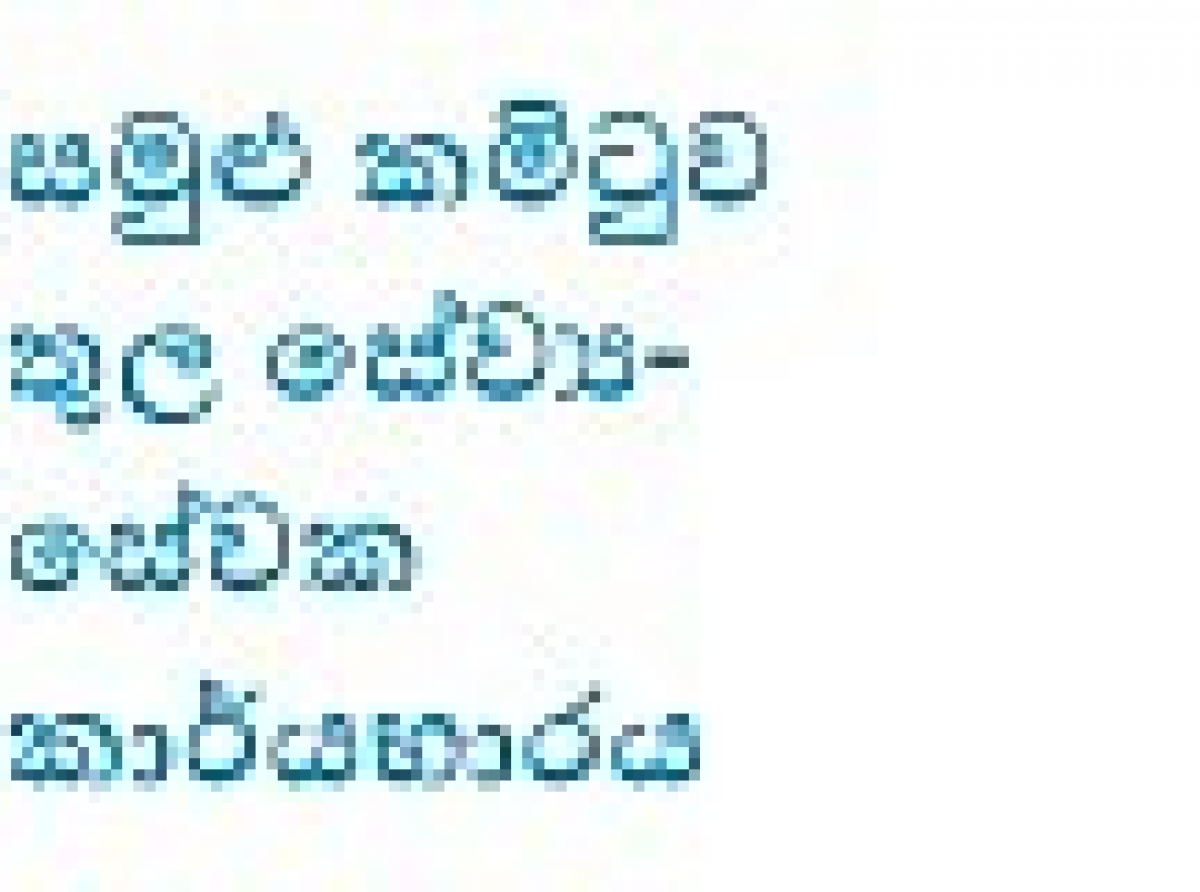 සම්මුතීන් සහ නිර්දේශයන් ක‍්‍රියාවේ යෙදවීම සම්බන්ධයෙන් සමුළු කමිටුව තුළ සිටින සේවායෝජක සහ සේවක සාමාජිකයන්ගේ කාර්ය භාරය