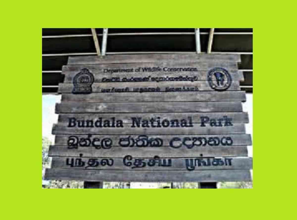 බූන්දල වන නිලධාරින්ට පහරදුන් සැකකරුවන් නිදැල්ලේ