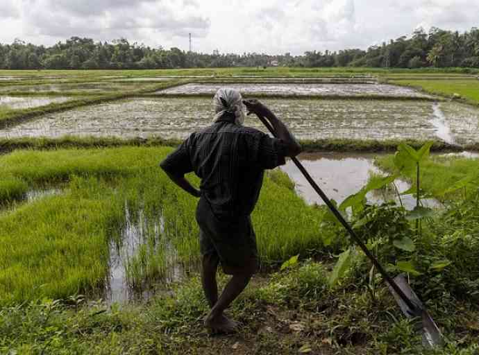 පැරකුම් යුගයක් නැවත ඇති කළ යුතුද ?