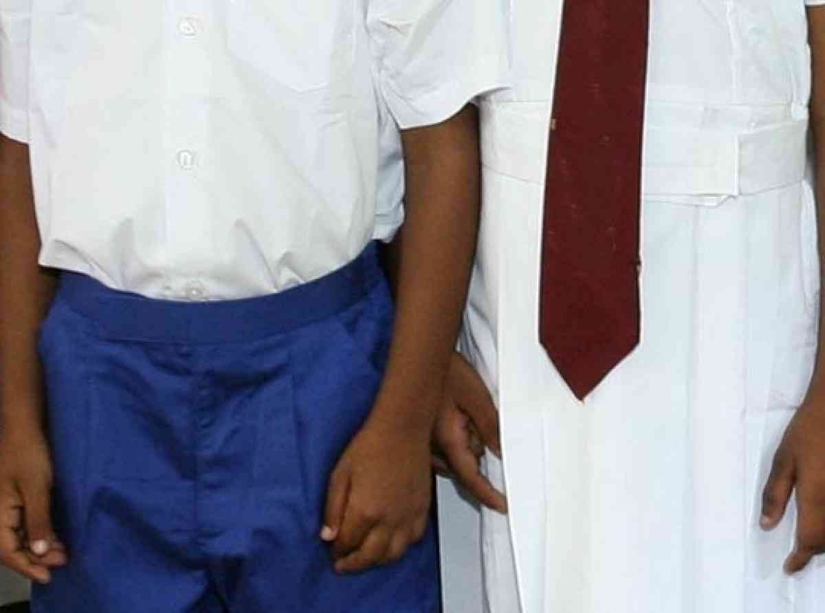 ඩෙංගු සහ බස්නාහිර පලාතේ පාසල් ළමුන්ගේ නිල ඇඳුම
