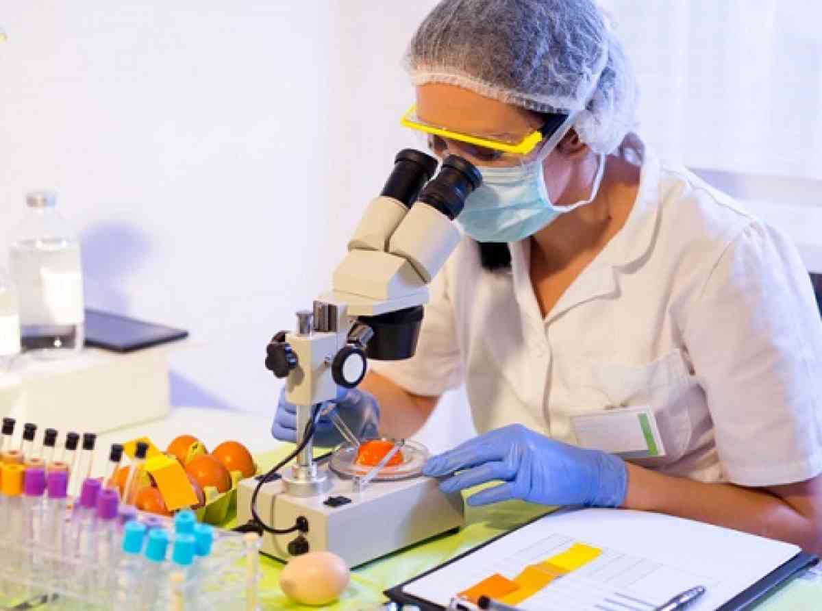 මහජන සෞඛ්ය පරීක්ෂකවරුන් කැටපෝලයක් භාවිතා කරන යුද සෙබලෙකු ගේ තත්ත්වයට පත්වීම නොවැළැක්විය හැකියි
