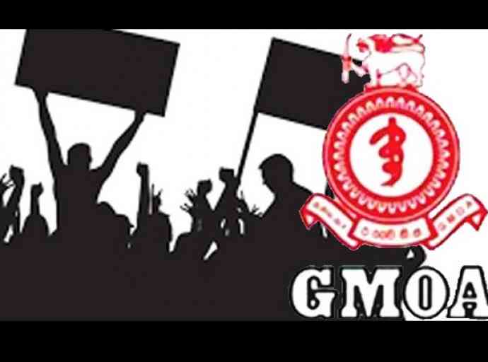 GMOA