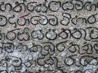 අල්පේශාඛ්‍යයෝ සහ මහේශාඛ්‍යයෝ
