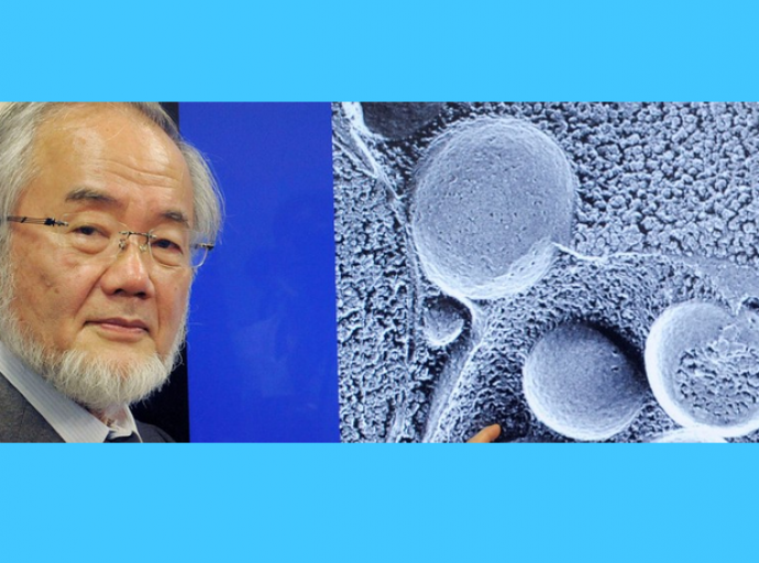 ඇතැම් ඇදහිලි සම්ප්‍රදායයන් සහ නවීන විද්‍යාව - ලයනල් බෝපගේ