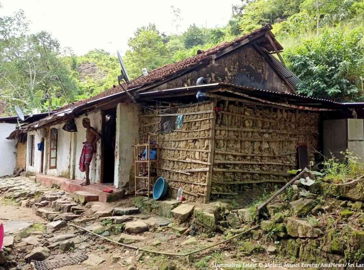 hammaliya-estate-house