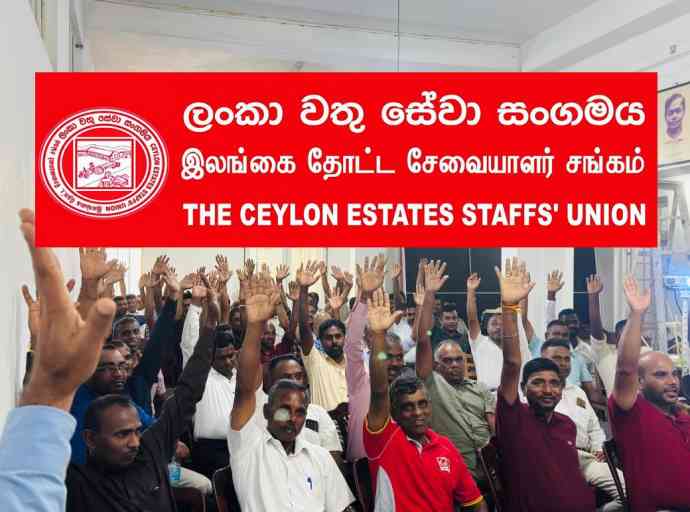 ceylon-estates-staffs-union