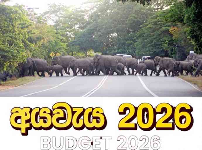 sri-lanka-elephant-budget-2026
