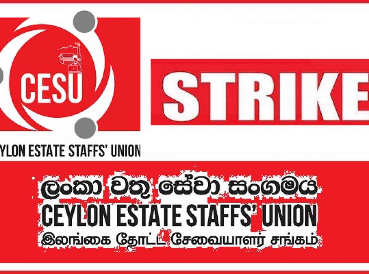 වෙනස්කොට සැළකීමට එරෙහිව ආර්පිකෝ වතු කාර්ය මණ්ඩල අඛණ්ඩ වැඩ වර්ජනයක
