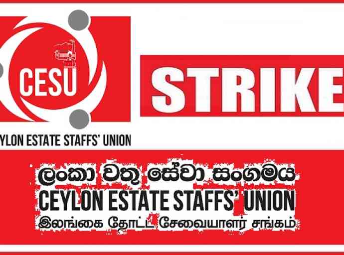 cesu-union-strick