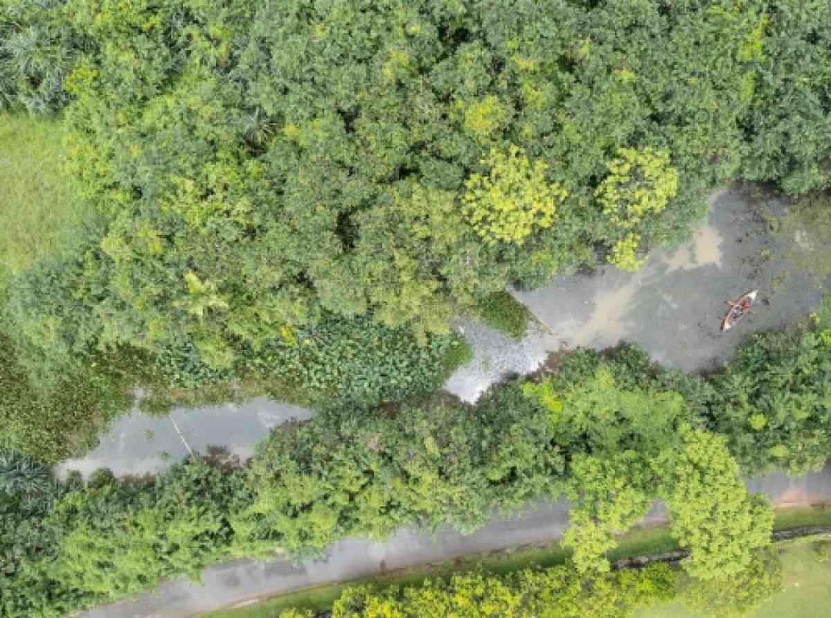 වනාන්තර - අපට අහිමි කර ගත නොහැකි ජීවනාලිය - දිග හැරෙන අර්බුදය සහ ප්‍රතිෂ්ඨාපනයට මාවත -(අවසාන කොටස) - ලයනල් බෝපගේ 