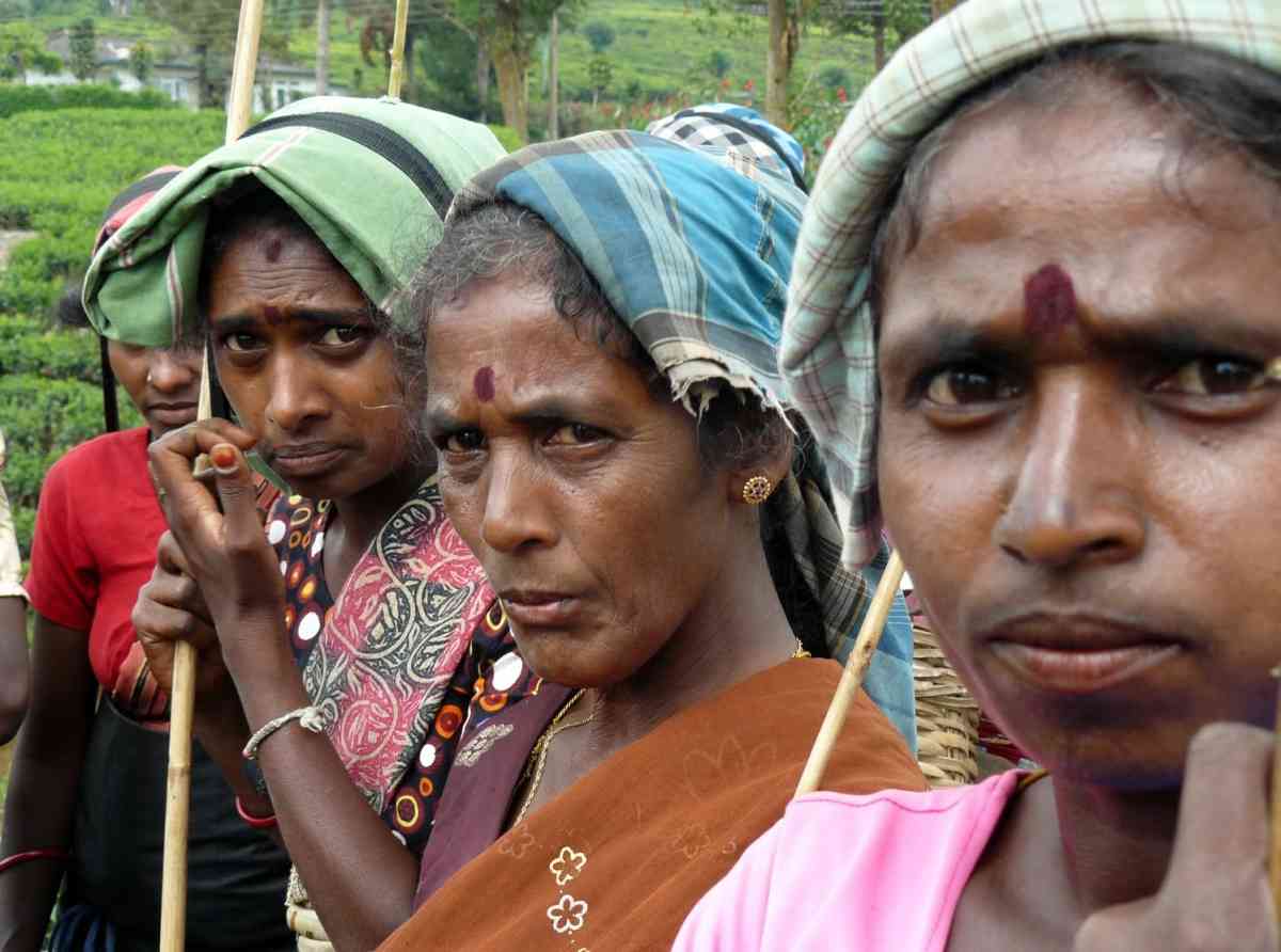 “මලයහම්” ජනතාවට අයිතීන් අහිමිද?