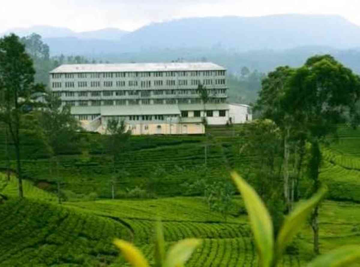 තේ වතු බදුදීමට වඩා විකිණිම යහපත් නමුත් කුඩා තේ වතු හිමියන් ද හුදෙකලා නොකළ  යුතු යි – ආචාර්ය සුධාරක ආරියරත්න (අවසන් කොටස)