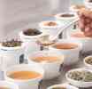 Ceylon Tea වලින් ලෝකය ජය ගැනීමට ඇති ප්‍රධාන අභියෝගය ගුණාත්මක තේ නිෂ්පාදනයයි (03 කොටස)– ආචාර්ය සුධාරක ආරියරත්න