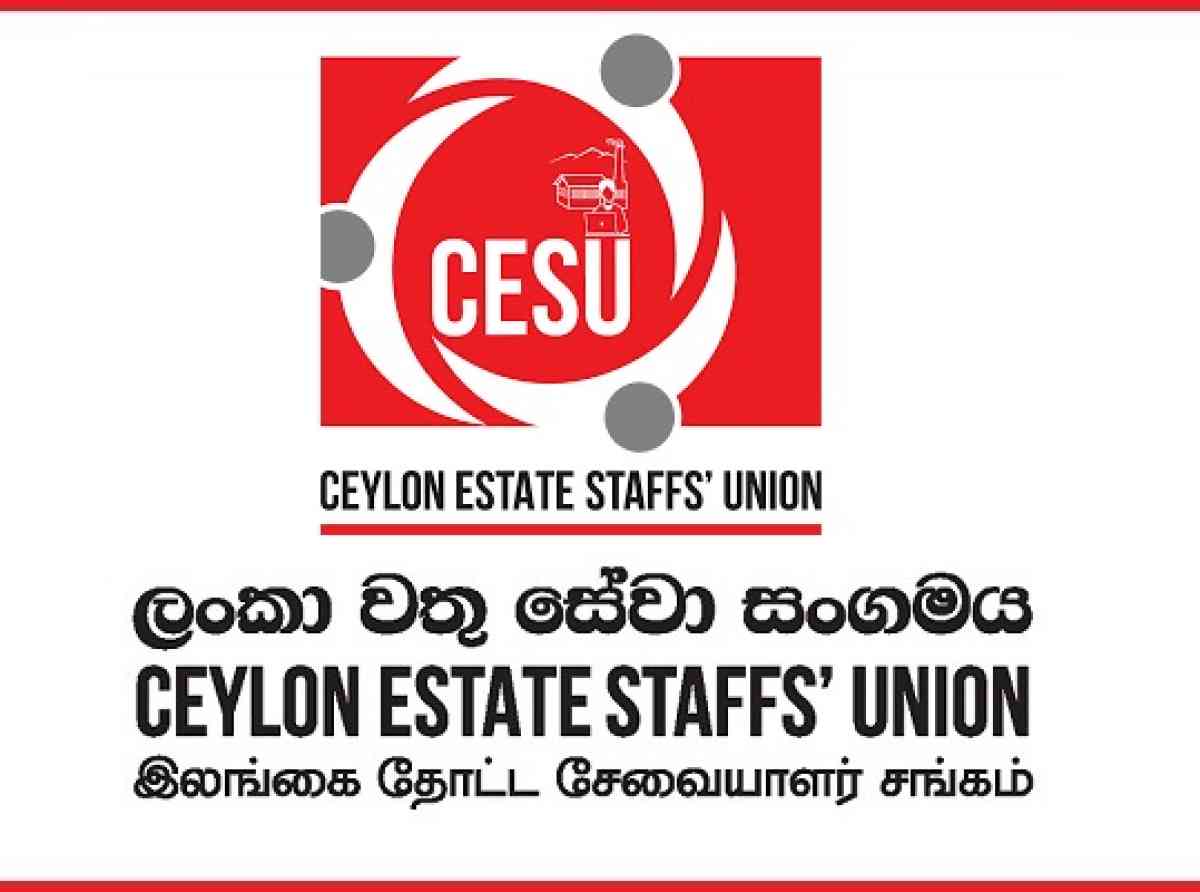 කුඩා පරිමාන වතුවල කාර්ය මණ්ඩල වෙනුවෙන් පඩි පාලක සභාවන් පිහිටුවන්න - CESU